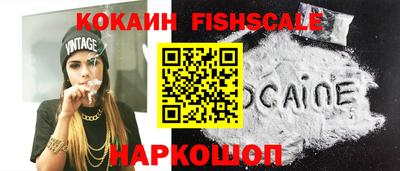 гидра Кандалакша