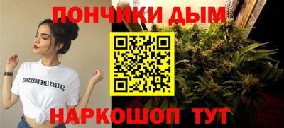 гашиш Кингисепп