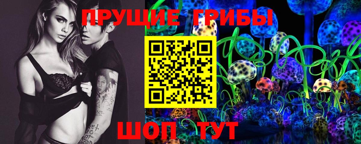 Удомля  Псилоцибиновые грибы ЛСД  Вход с VPN 