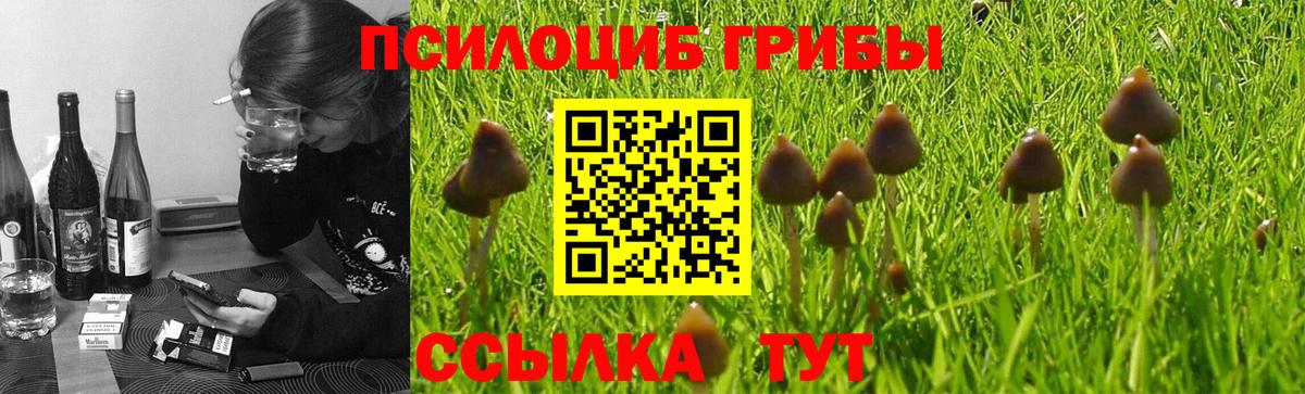 Галлюциногенные грибы Cubensis Удомля
